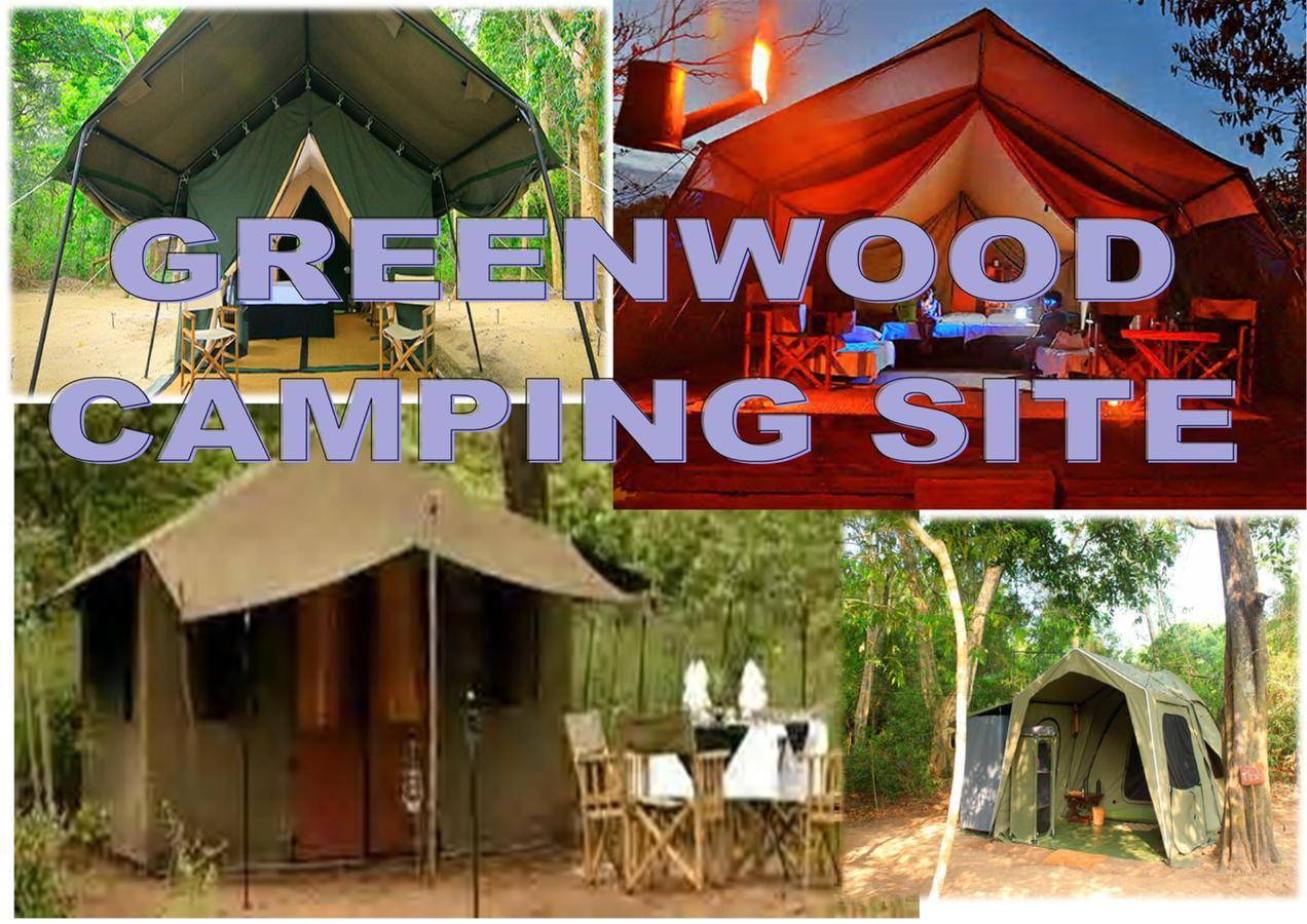 Greenwood Udawalawa Safari Resort Удавалаве Экстерьер фото