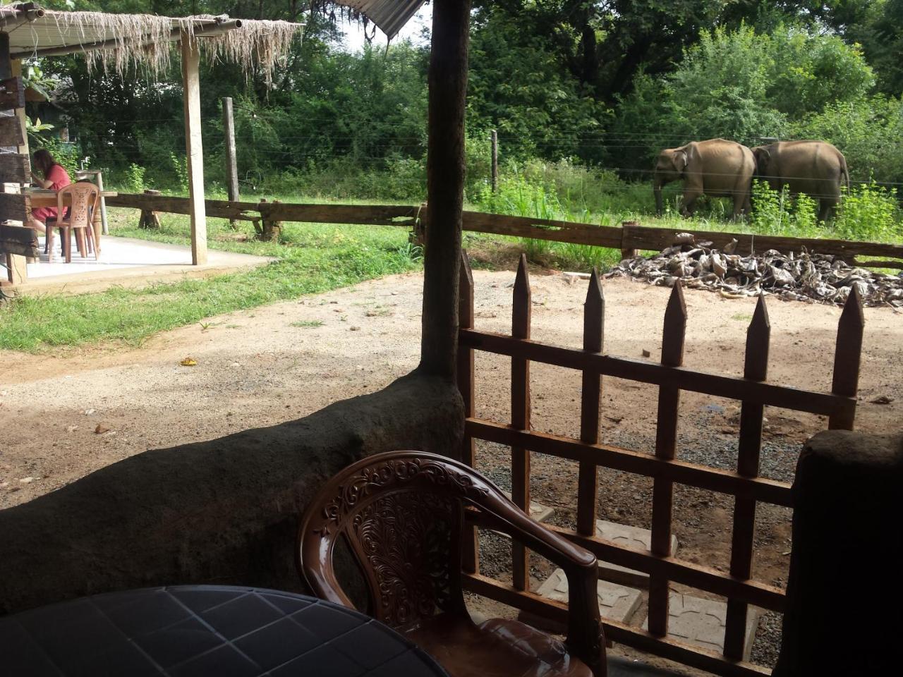 Greenwood Udawalawa Safari Resort Удавалаве Экстерьер фото