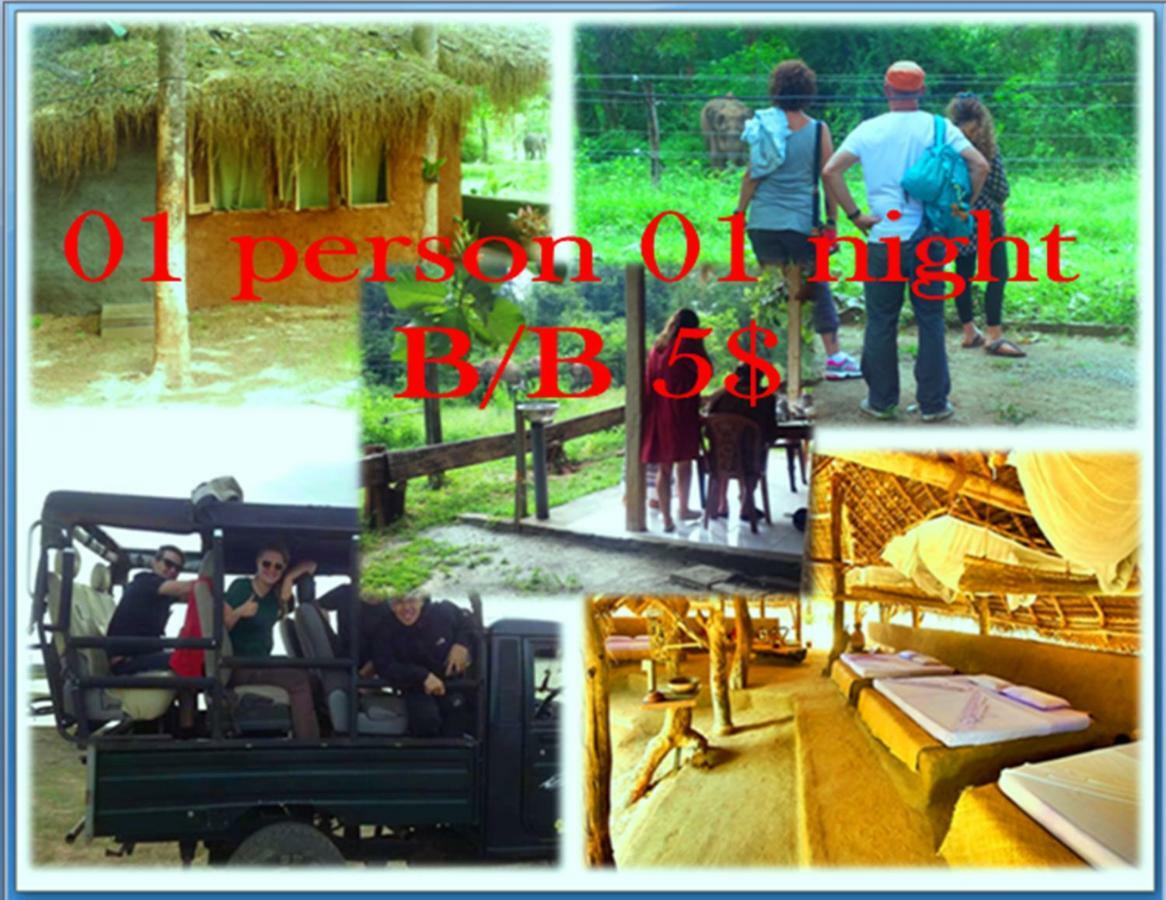 Greenwood Udawalawa Safari Resort Удавалаве Экстерьер фото